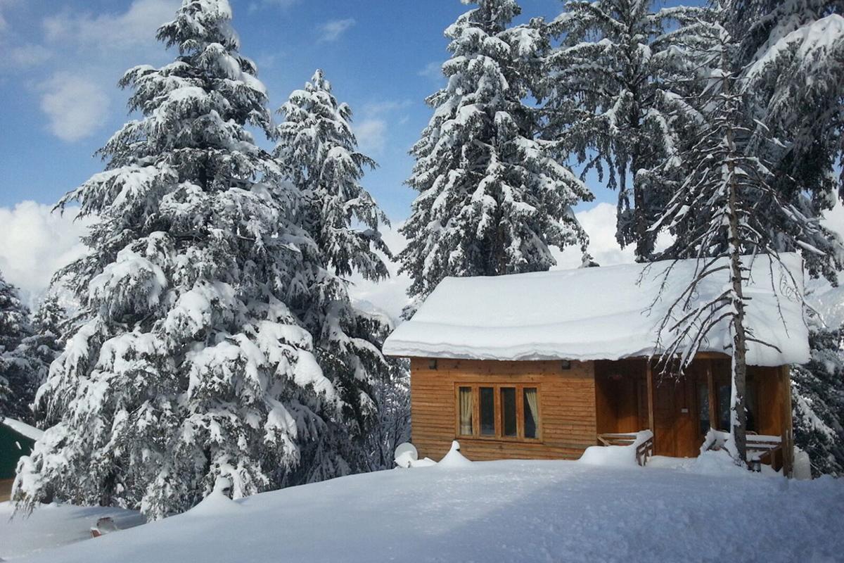 Arcadian Sprucewoods Hotel Shogran Luaran gambar