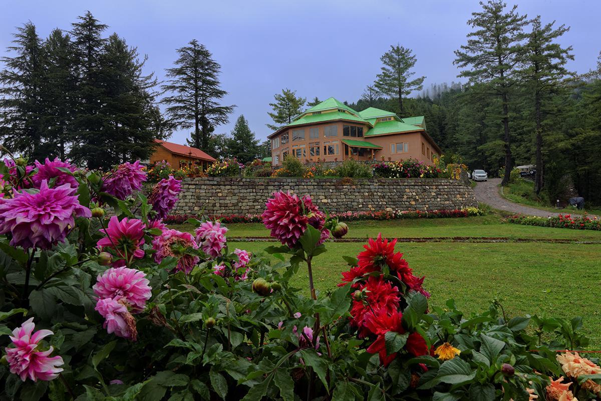 Arcadian Sprucewoods Hotel Shogran Luaran gambar
